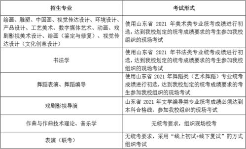 山东艺术学院发布2021年本科招生专业考试公告