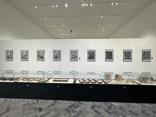 向美而行 第二季 济宁学院美术学院举行2024年教学成果汇报展