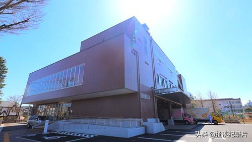 日本的孩子不吃盒饭 来看看日本的食品加工厂如何制作中小学生午餐