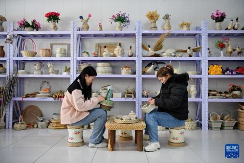 河北康保 乡村 微工厂 促就业助振兴