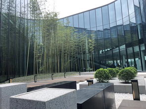 极星成都生产基地启用 开放的艺术范儿工厂或成打卡圣地
