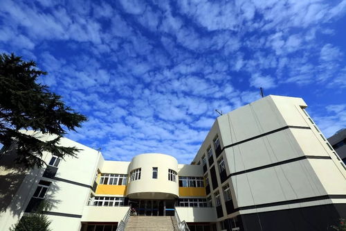 青岛艺术学校 新校区建设播报 第6期