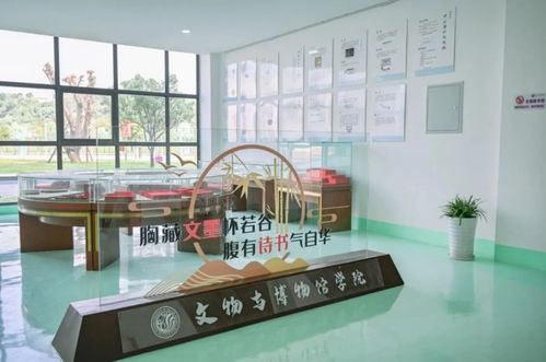 四川文化艺术学院学生在 srom丝绸之路云上策展大赛 中荣获佳绩