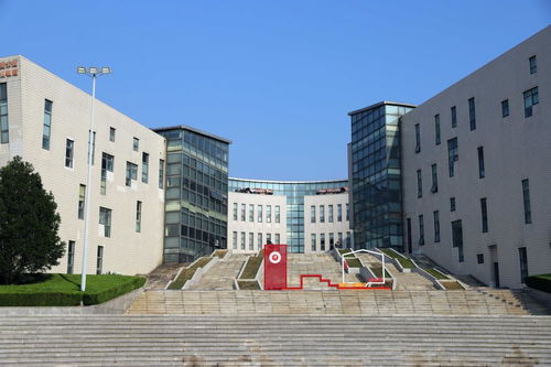 校园文化 山东艺术学院 定格校园秋色 不负美好时光