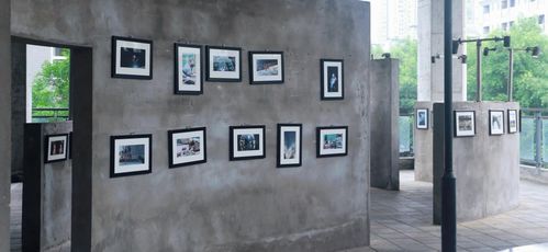 夏花盛开,赋能未来 记艺术传媒学院毕业展颁奖晚会