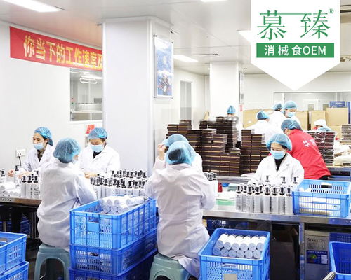 慕臻加工项目 创新工艺赋能五谷代餐粉加工与艺术学校跨界融合